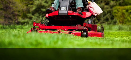 Rasentraktor Texas A/S